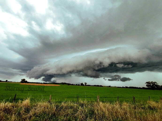 Weather Content
